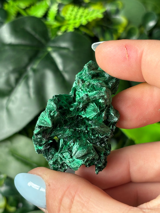 Fibrous Malachite