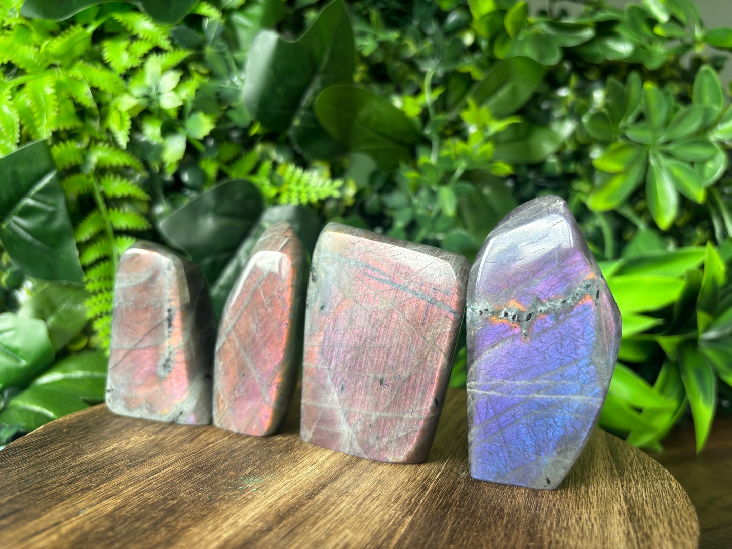 Purple flash Labradorite freeforms