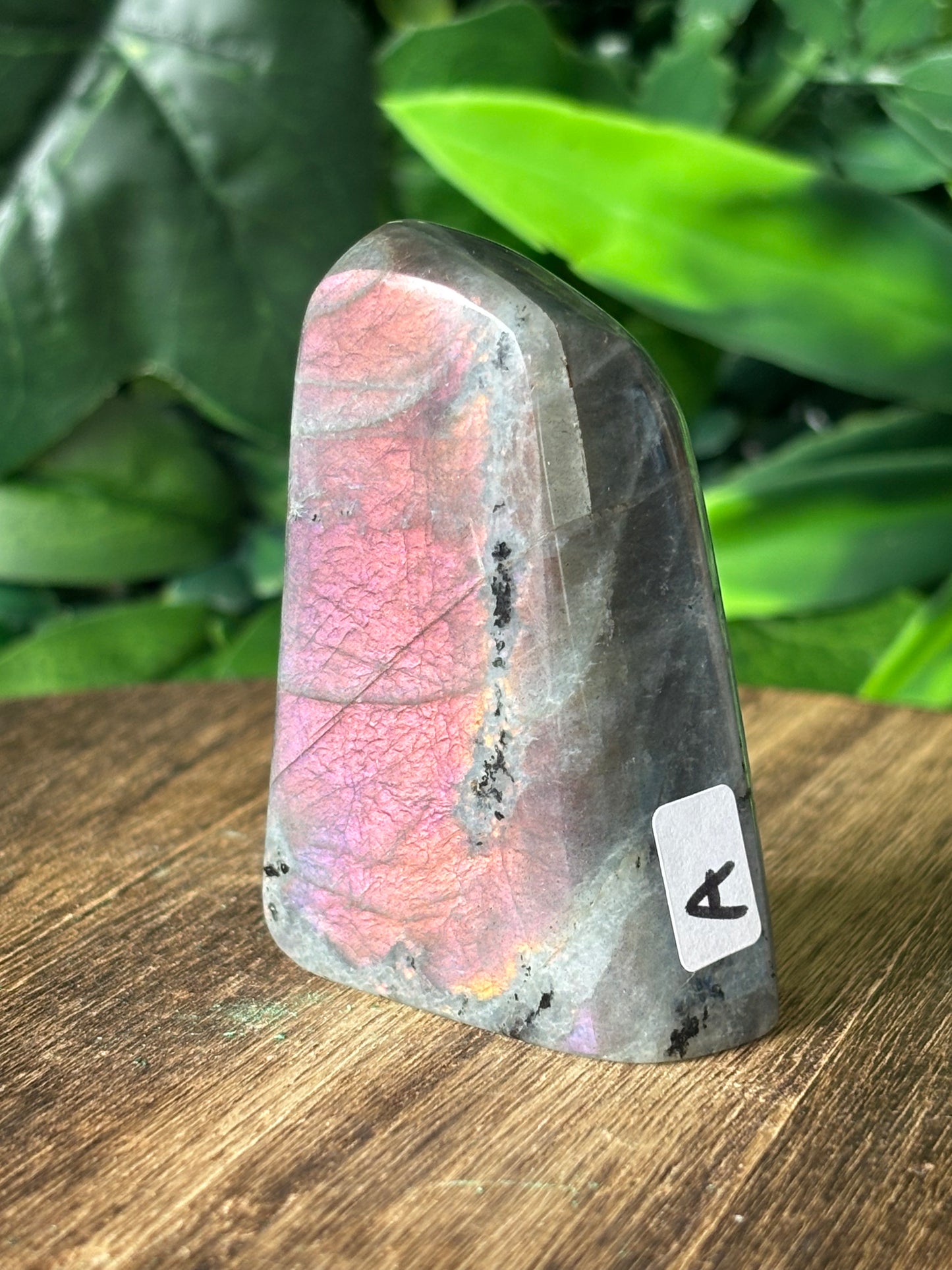 Purple flash Labradorite freeforms