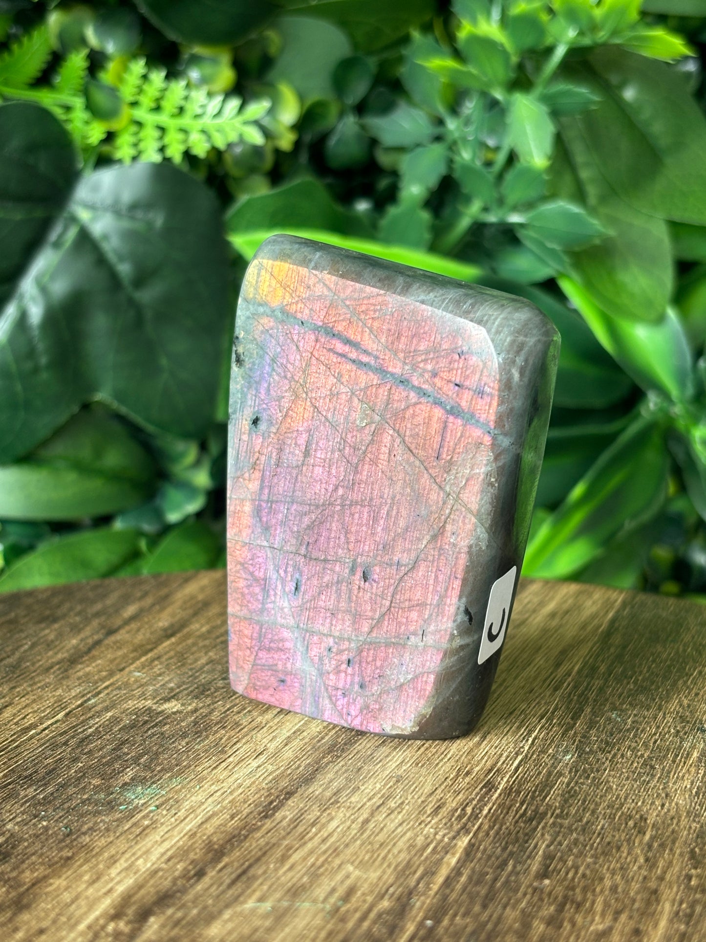 Purple flash Labradorite freeforms