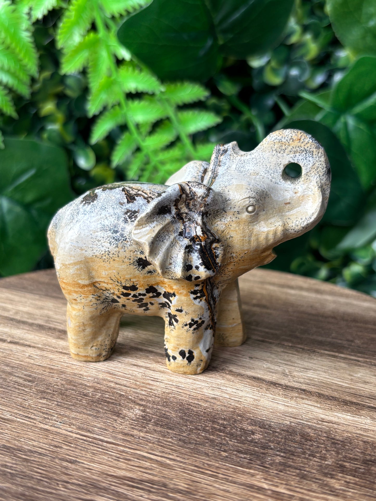 Picture Jasper elephant
