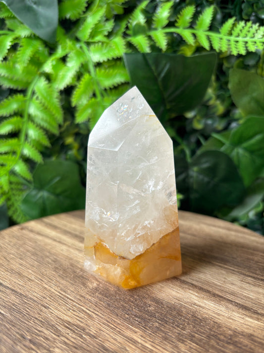 Golden healer point