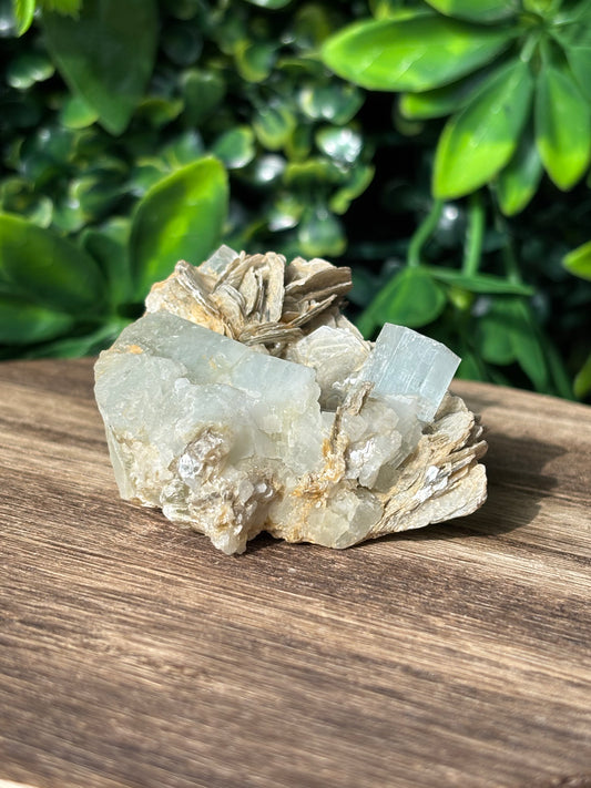 Aquamarine in Muscovite Mica
