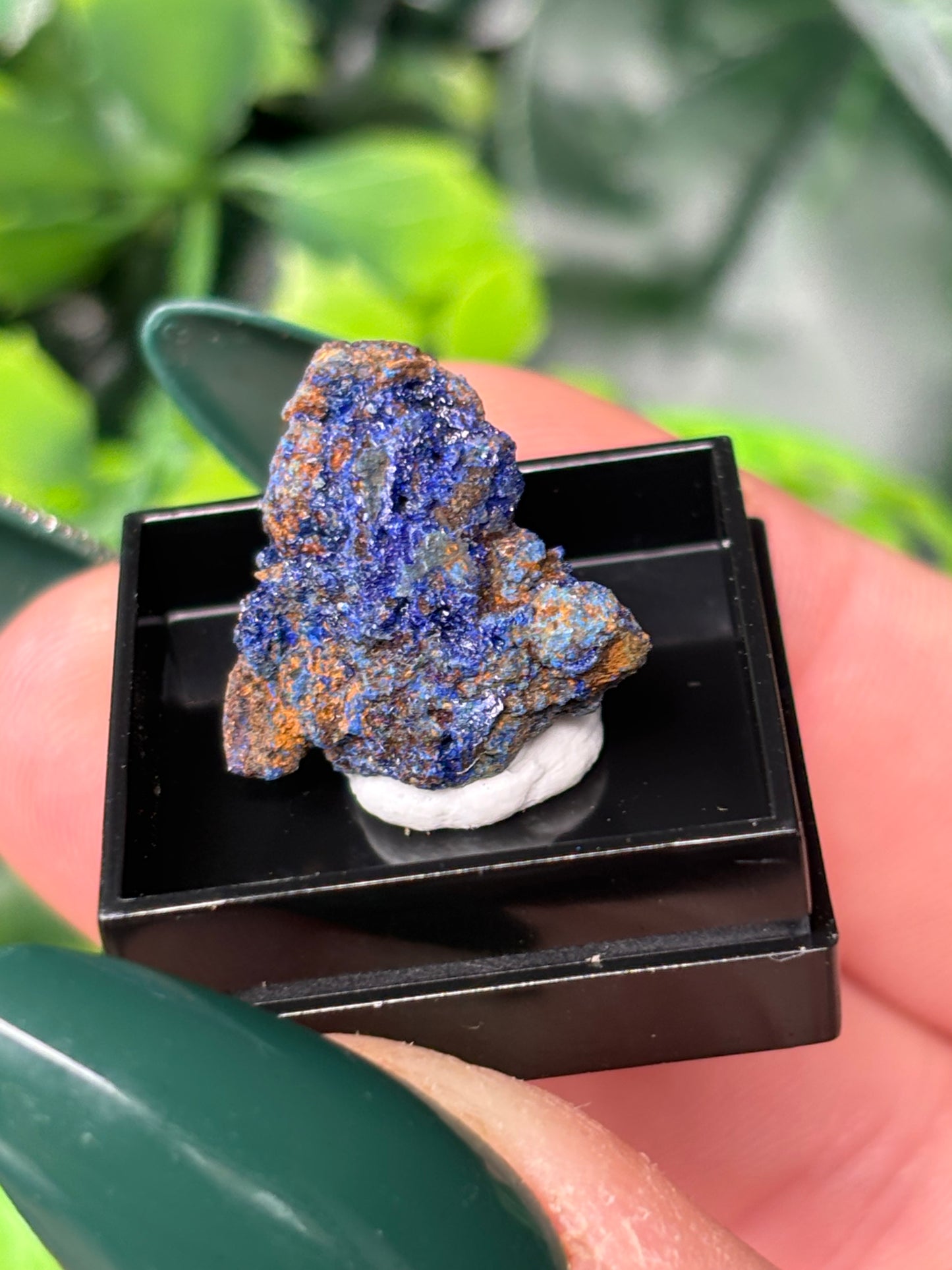Mini boxed specimens - various