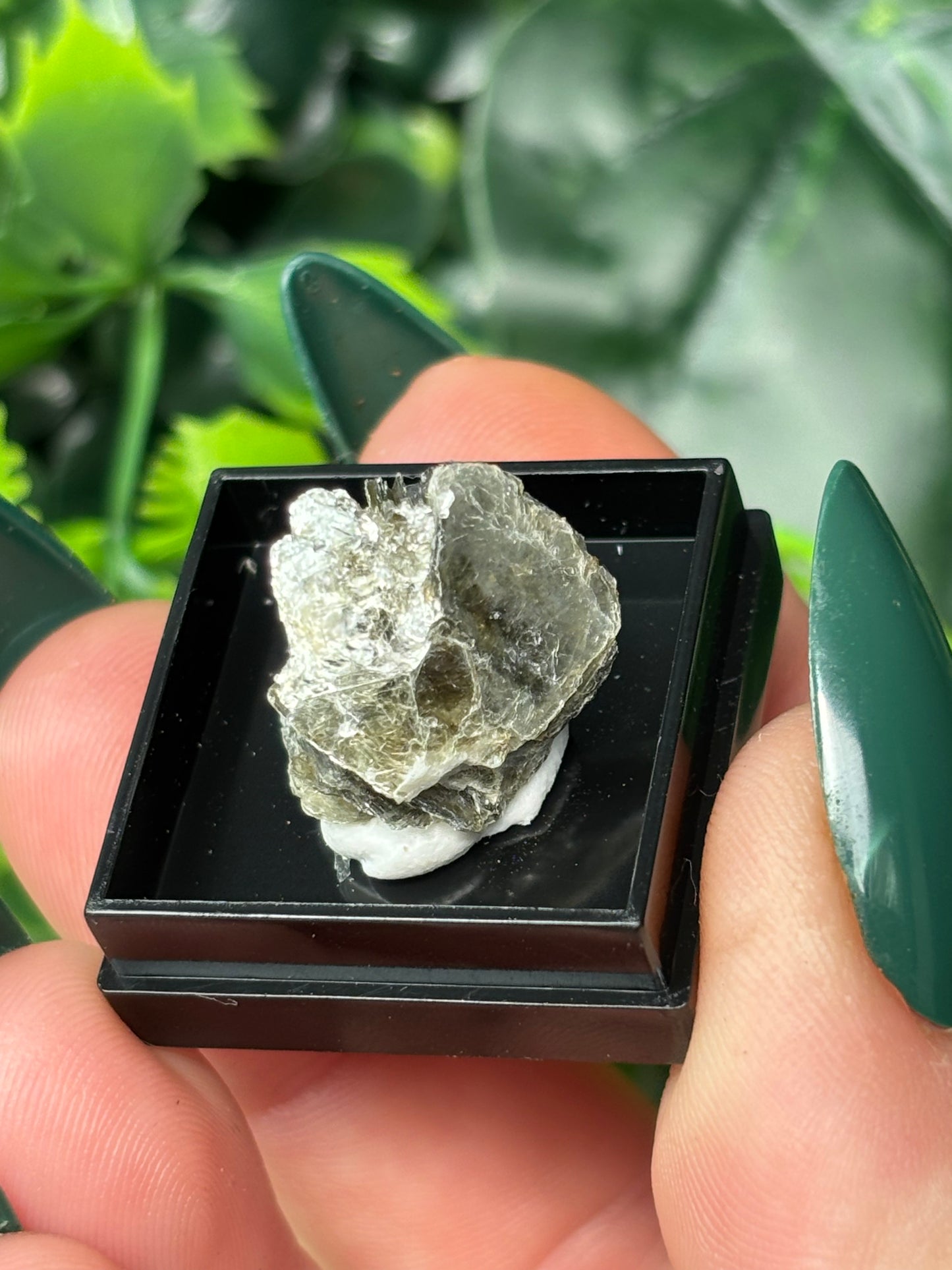 Mini boxed specimens - various
