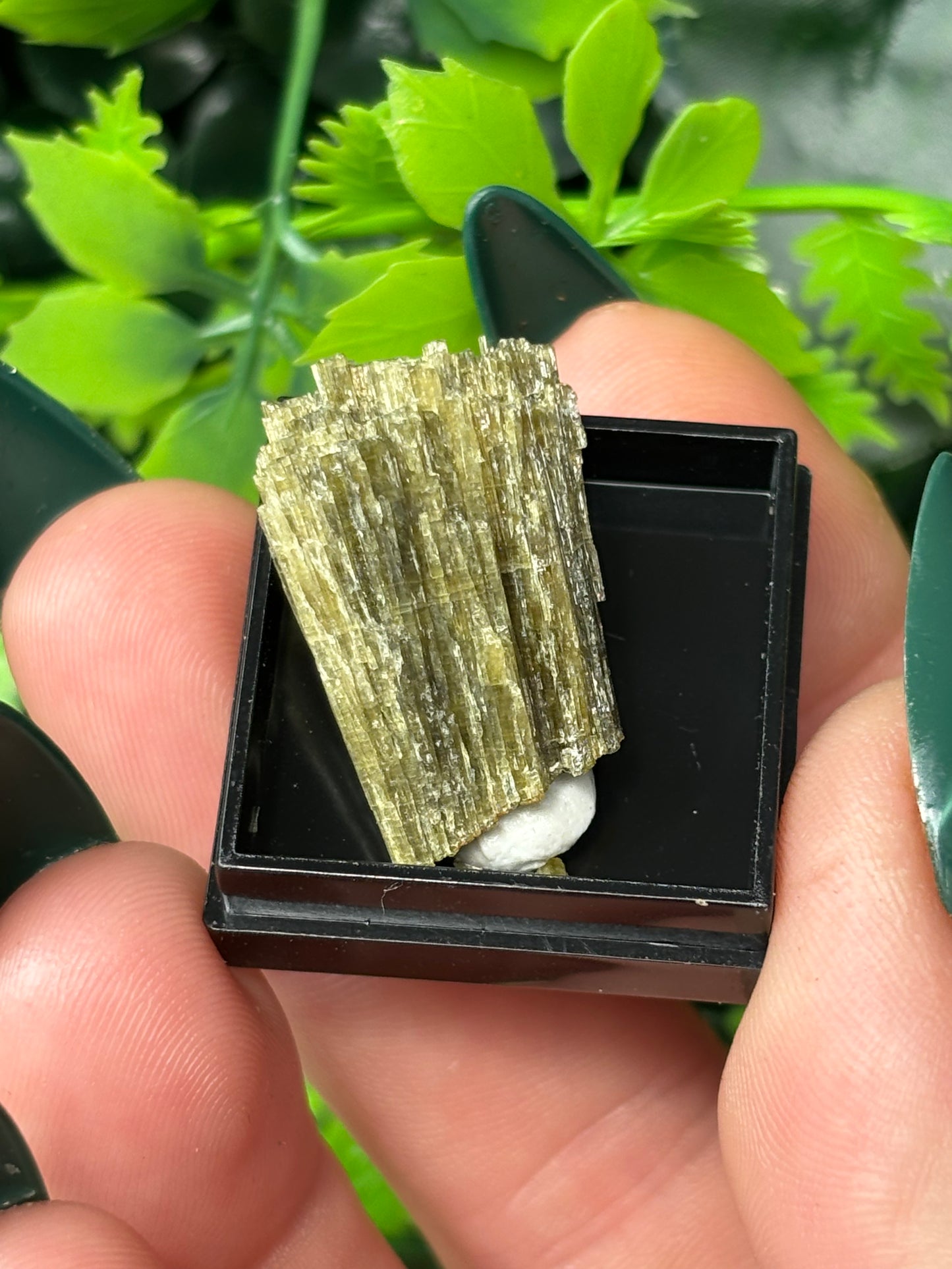 Mini boxed specimens - various