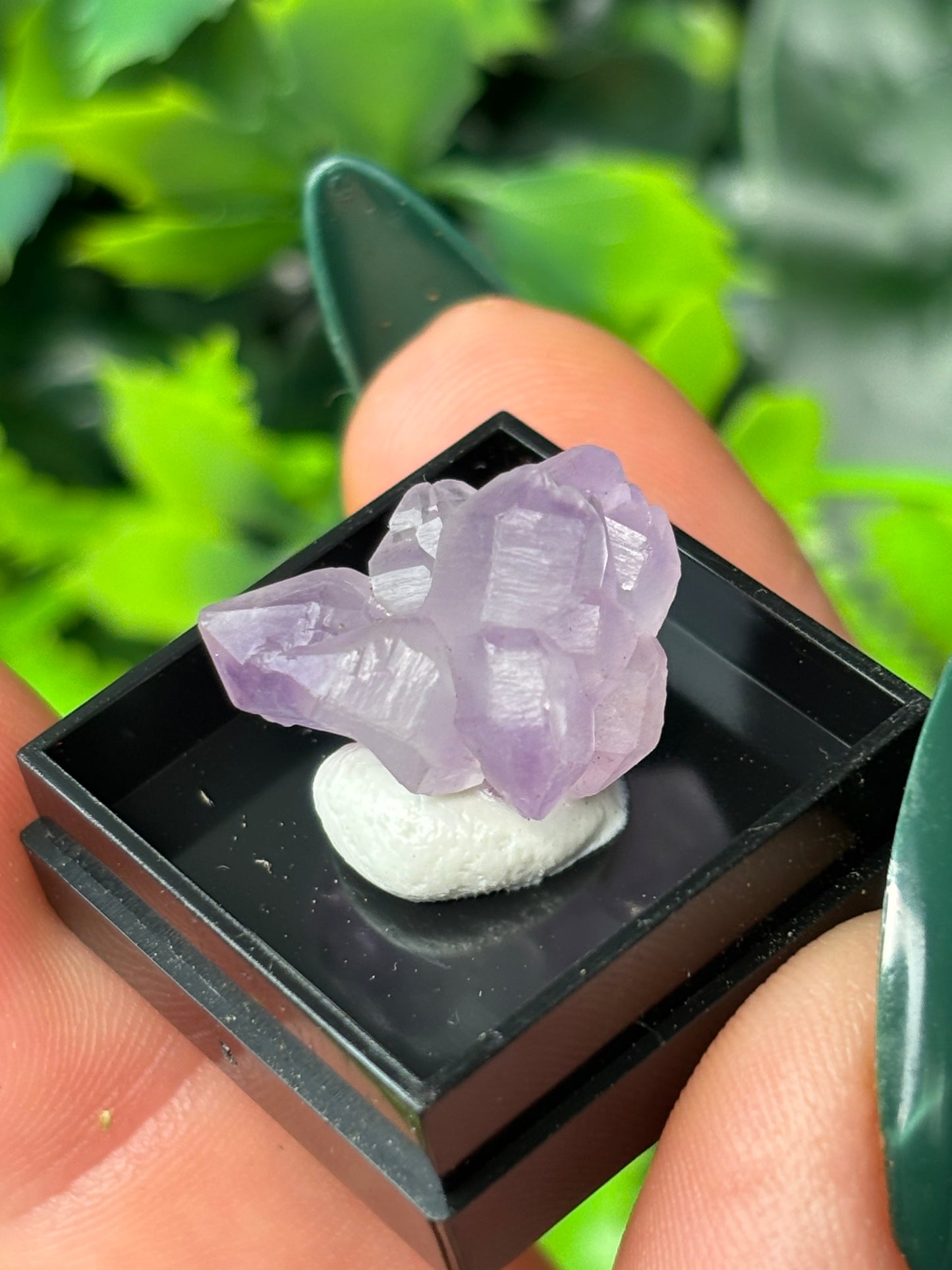 Mini boxed specimens - various