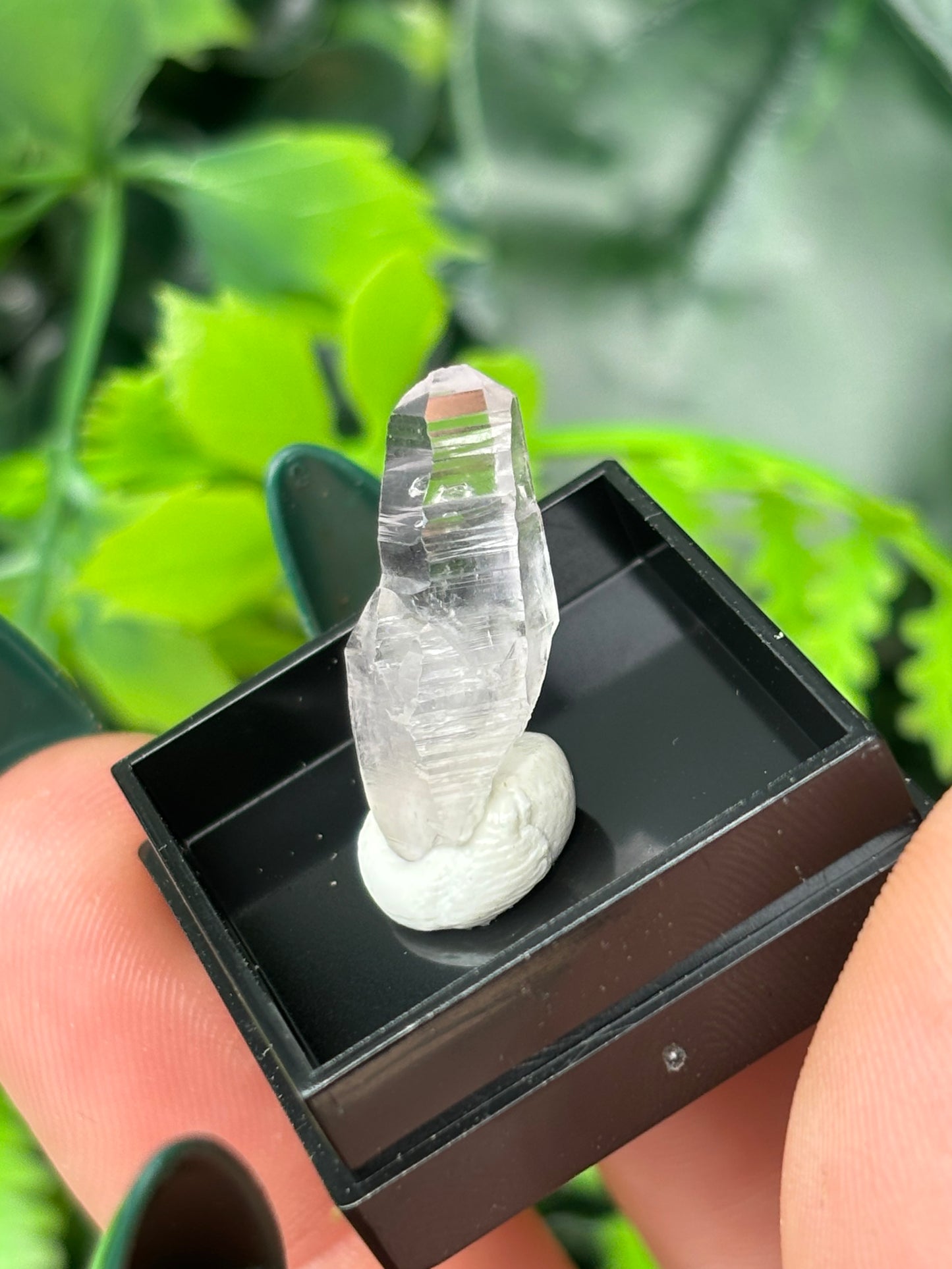 Mini boxed specimens - various