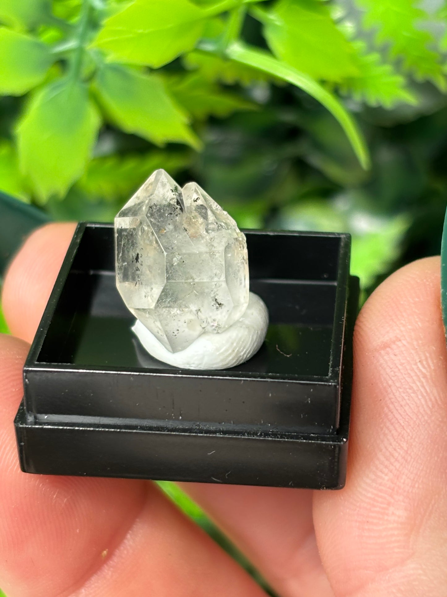 Mini boxed specimens - various