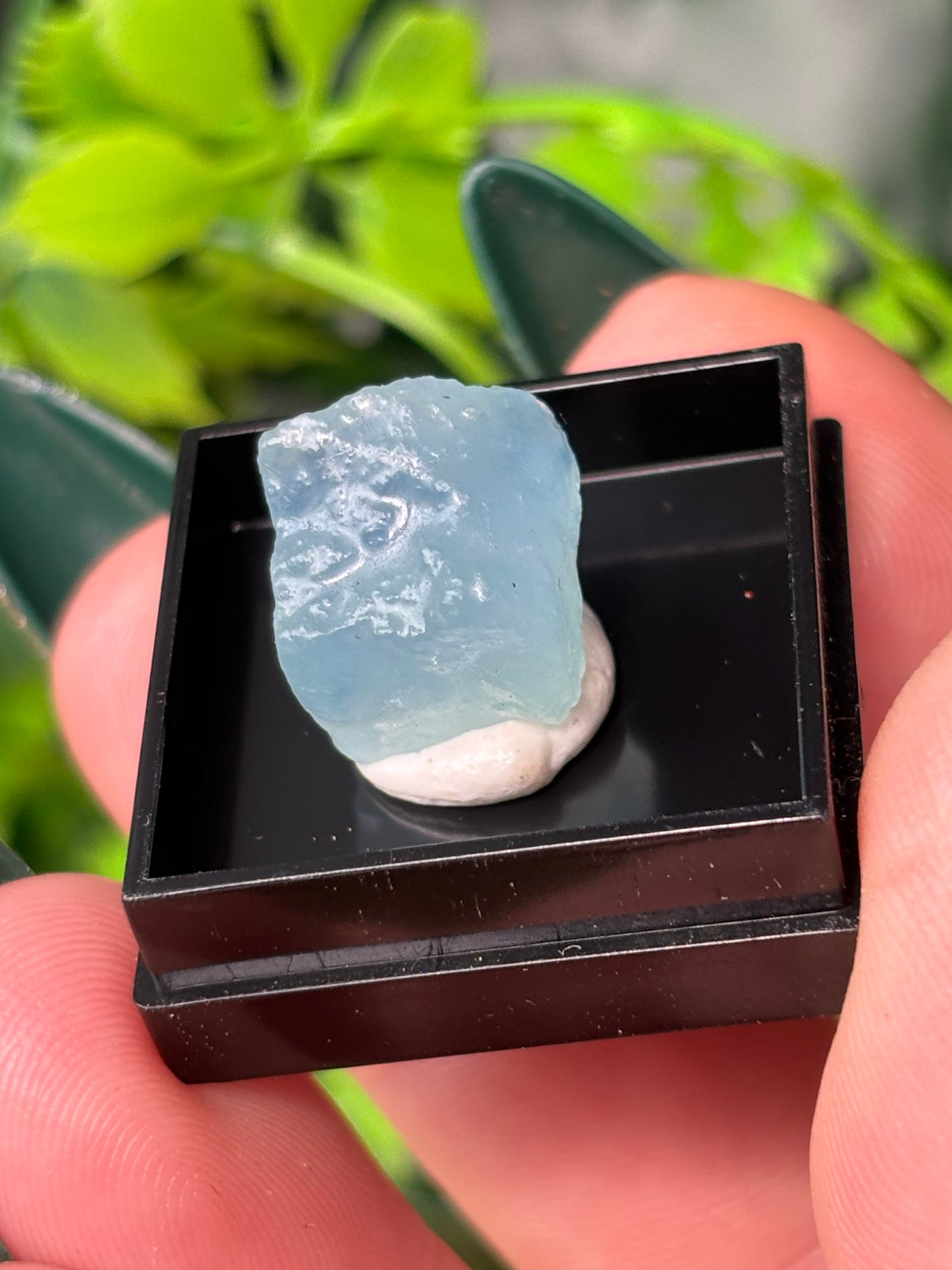 Mini boxed specimens - various